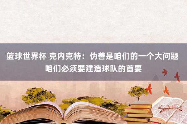 篮球世界杯 克内克特：伪善是咱们的一个大问题 咱们必须要建造球队的首要