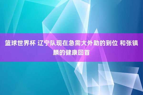 篮球世界杯 辽宁队现在急需大外助的到位 和张镇麟的健康回首