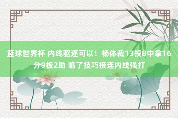 篮球世界杯 内线驱逐可以！杨体裁13投8中拿16分9板2助 临了技巧接连内线强打