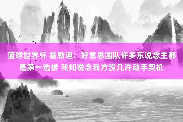 篮球世界杯 霍勒迪：好意思国队许多东说念主都是第一选拔 我知说念我方没几许动手契机