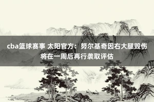 cba篮球赛事 太阳官方：努尔基奇因右大腿毁伤将在一周后再行袭取评估